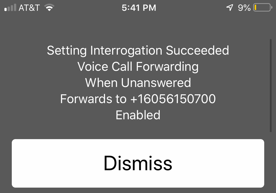 iPhone voice call forwarding